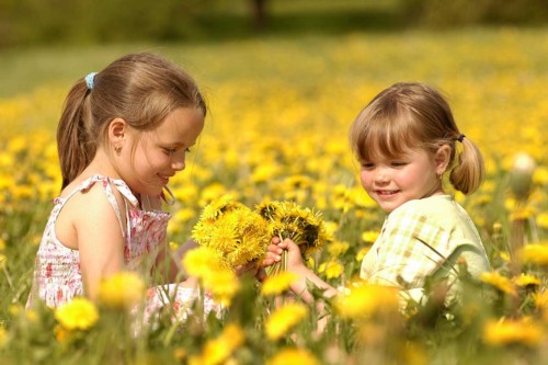 Små barn i blomstereng