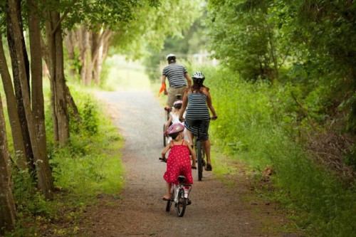 Familie sykler i skogen